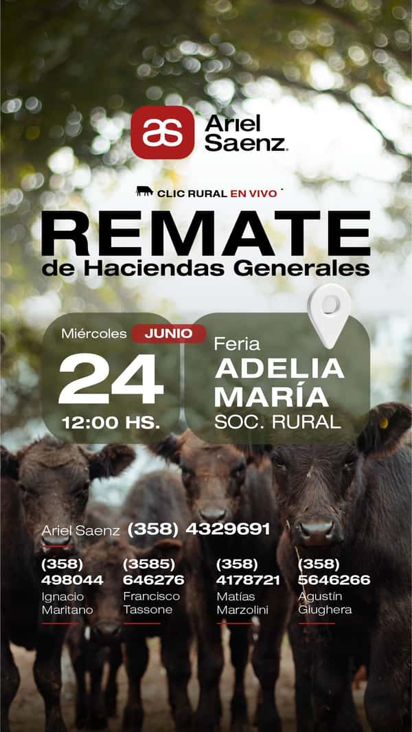  Remate