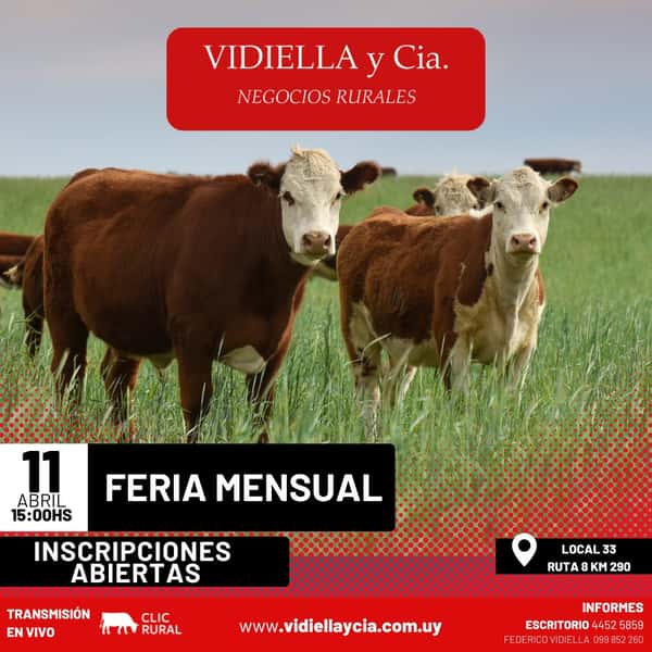 Feria Mensual - Vidiella y Cia