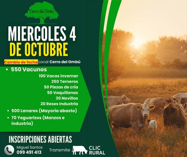 Feria Mensual - Cerro del Ombú