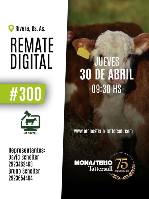  Remate digital 300° desde Rivera