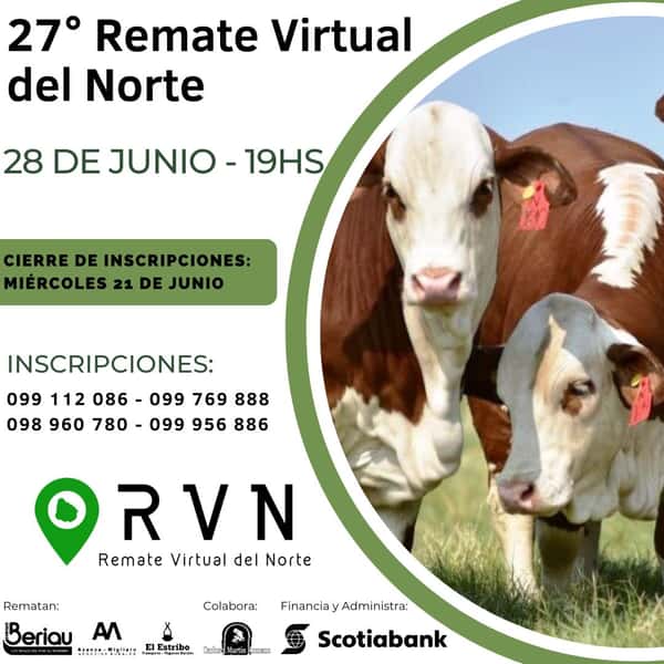  #27 Remate Virtual del Norte