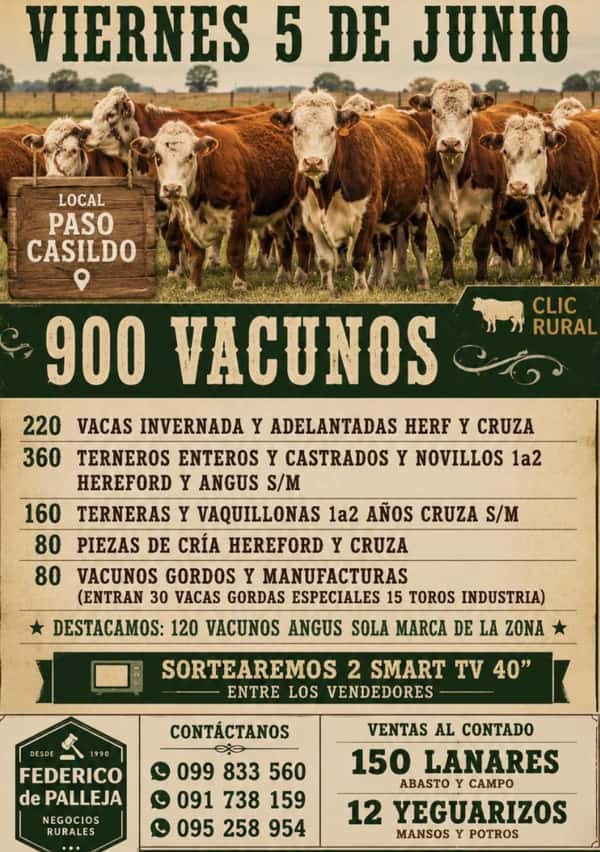  Feria Mensual - Federico de Palleja