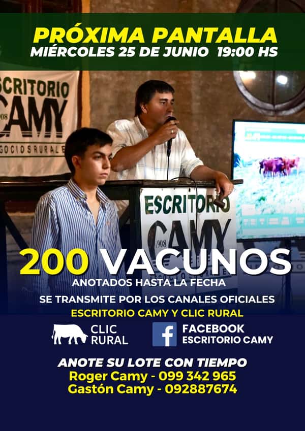 Pantalla Camy