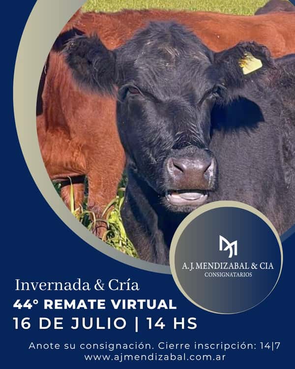 44° Remate Virtual
