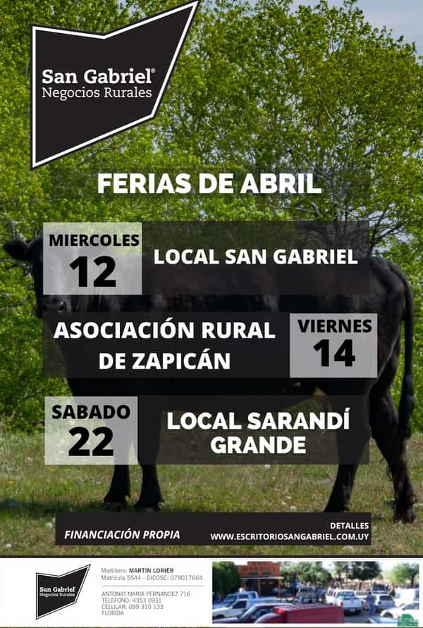 Remate San  Gabriel  - Asociación Rural de Zapican