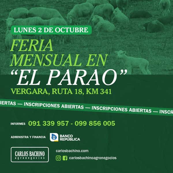Feria Mensual - 