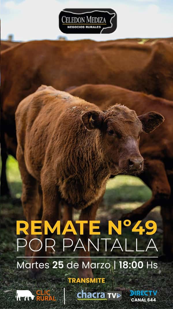  49º Remate por Pantalla 