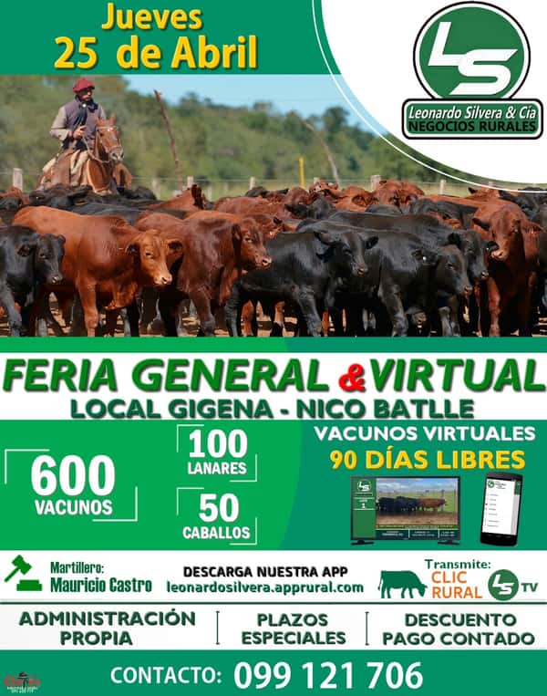  Feria General y Virtual