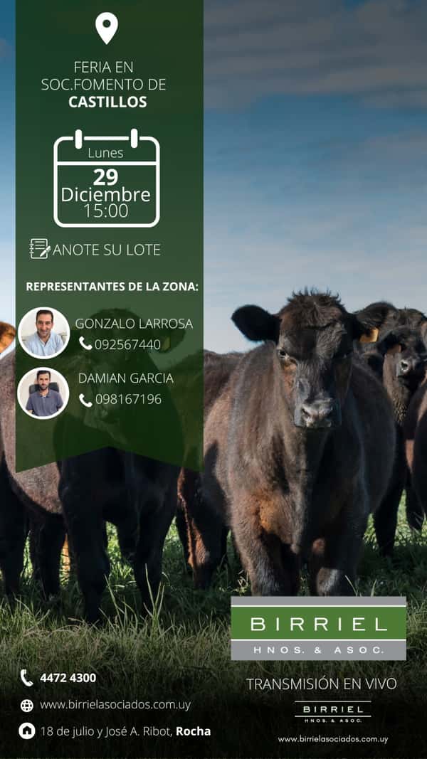 Feria en Soc. Fomento Castillos