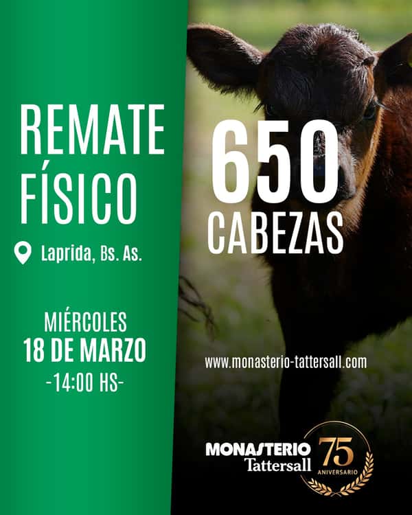  Remate Físico Laprida