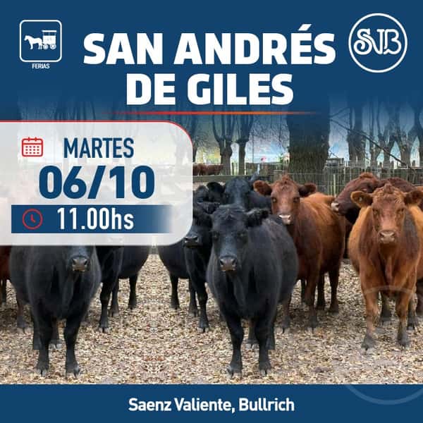 Feria en S.A. de Giles — SAENZ VALIENTE, BULLRICH Y CIA. S.A.