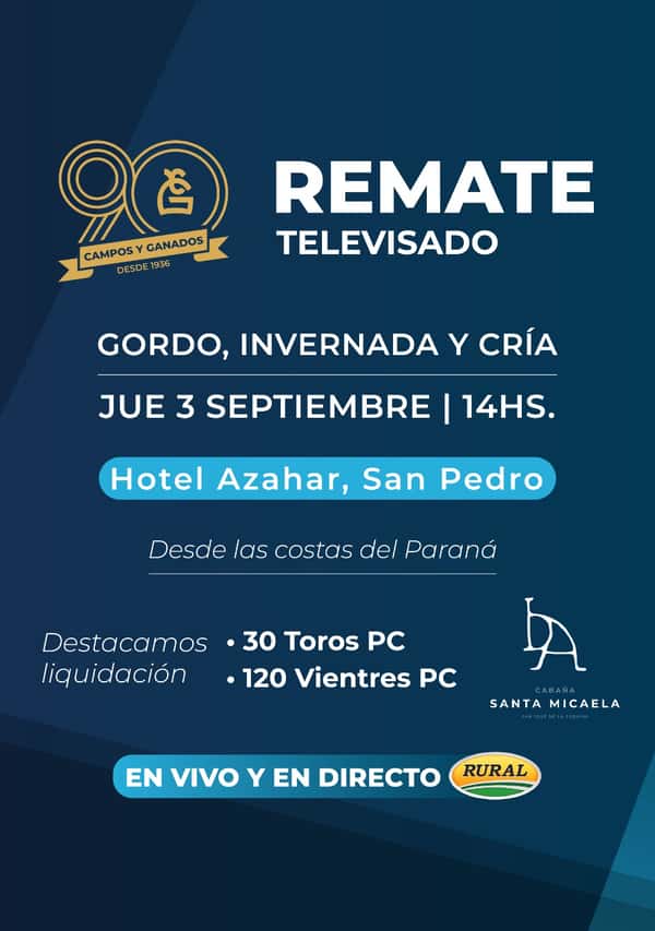 261° REMATE POR PANTALLA 90° LIQUIDACION ESPECIAL SANTA MICAELA
