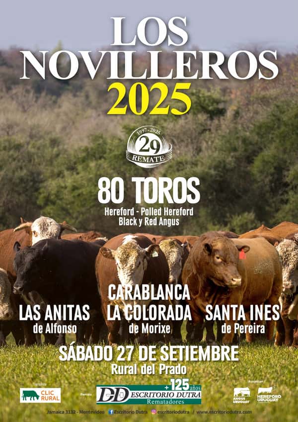  Los Novilleros