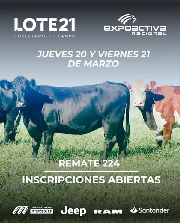 224º remate Lote21