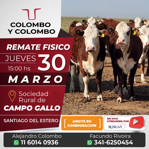 Remate Campo Gallo - Santiago del Estero