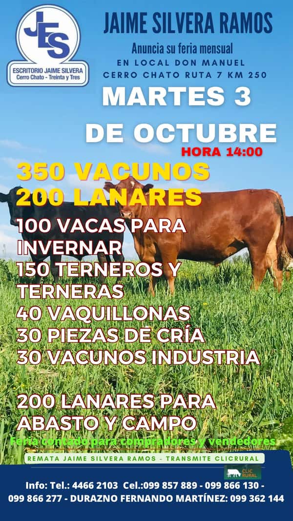 Feria  - Jaime E Silvera