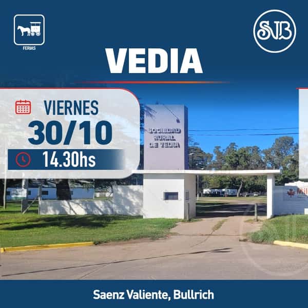 Feria en Vedia — SAENZ VALIENTE, BULLRICH Y CIA. S.A.