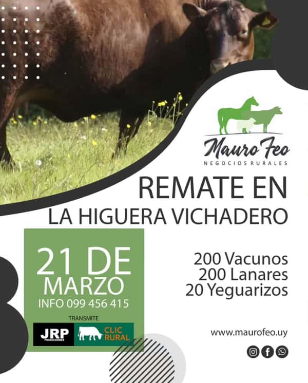 Feria Mensual - Mauro Feo