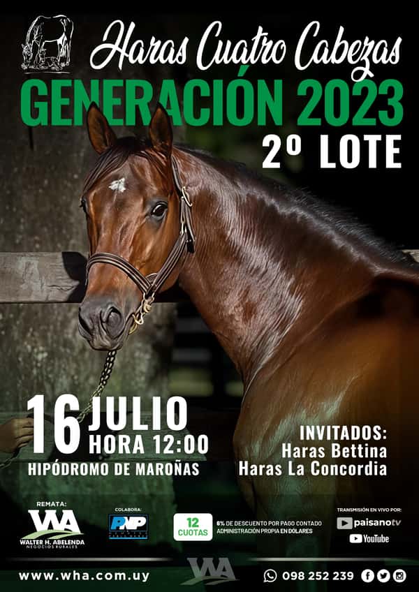 Haras Cuatro Cabezas - 2º Lote