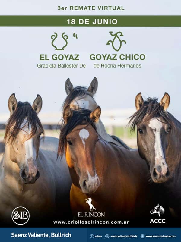  El Goyaz y Goyaz Chico