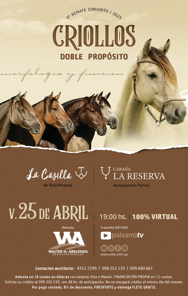 Cabaña La Casilla & Cabaña La Reserva 