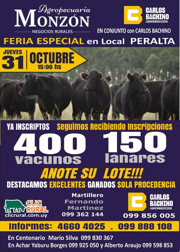 Feria Especial