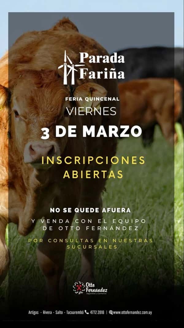 Remate Feria en Parada Fariña