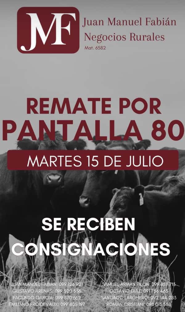  #80 Pantalla JMF