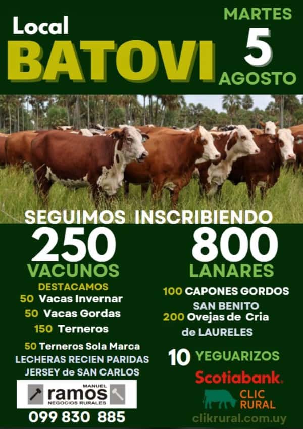 Feria Mensual - Local Batovi