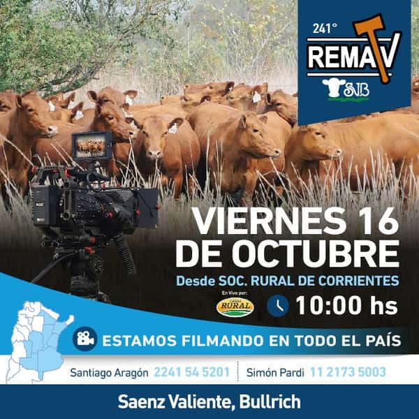 241° RematV — SAENZ VALIENTE, BULLRICH Y CIA. S.A.