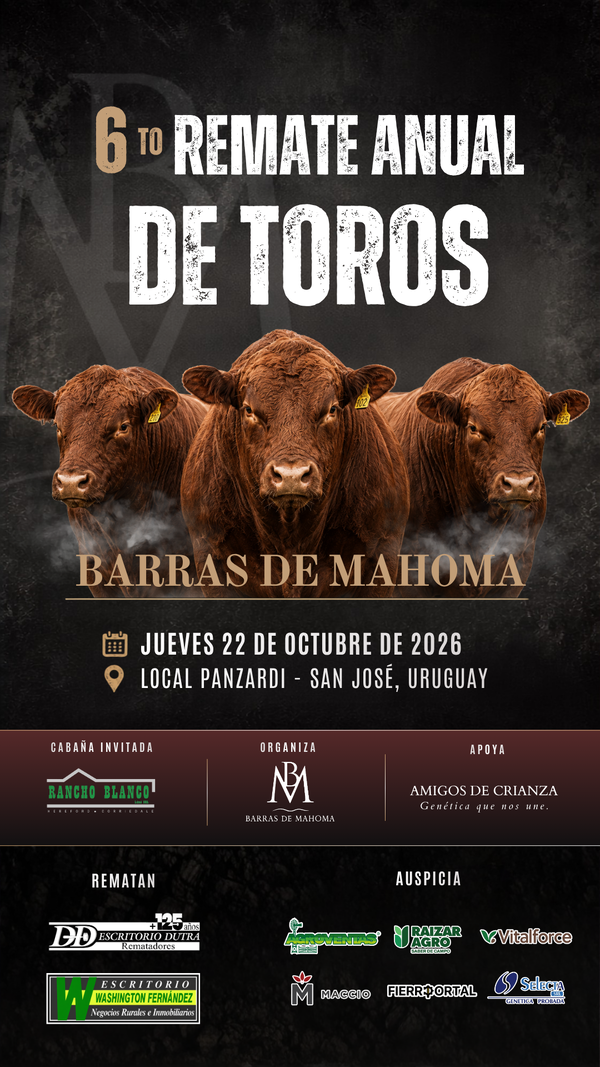 6º Barras de Mahoma — Escritorio Dutra LTDA.