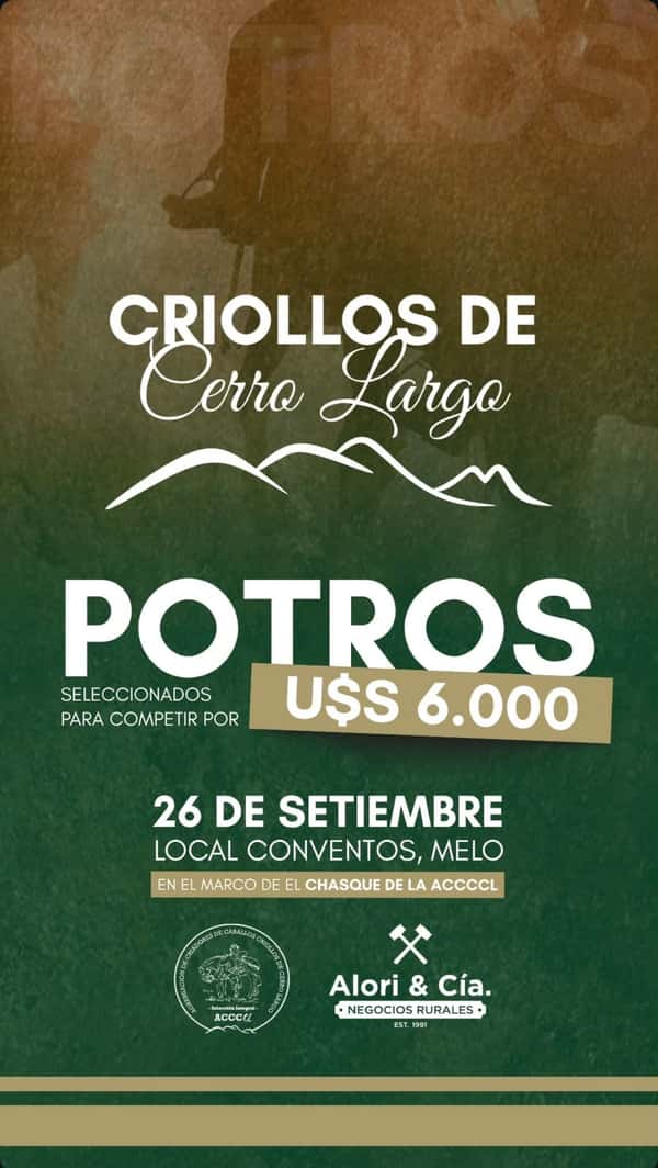 Potros en Cerro Largo (Chasque) — Escritorio Alori y Cia.
