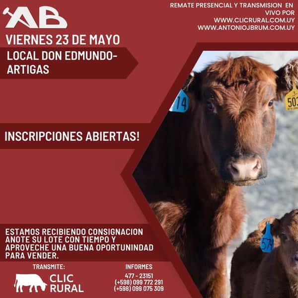  Feria Mensual - Antonio J Brum