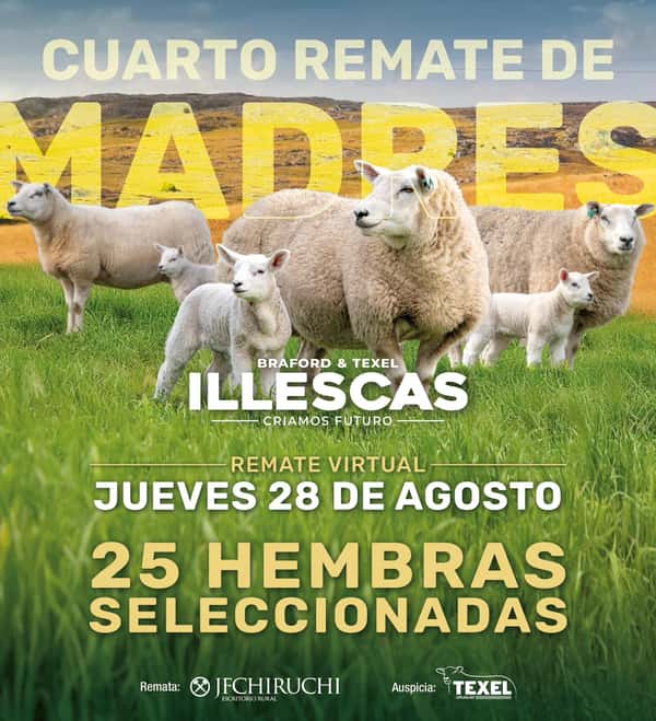 4º Remate de Madres - Cabaña Illescas