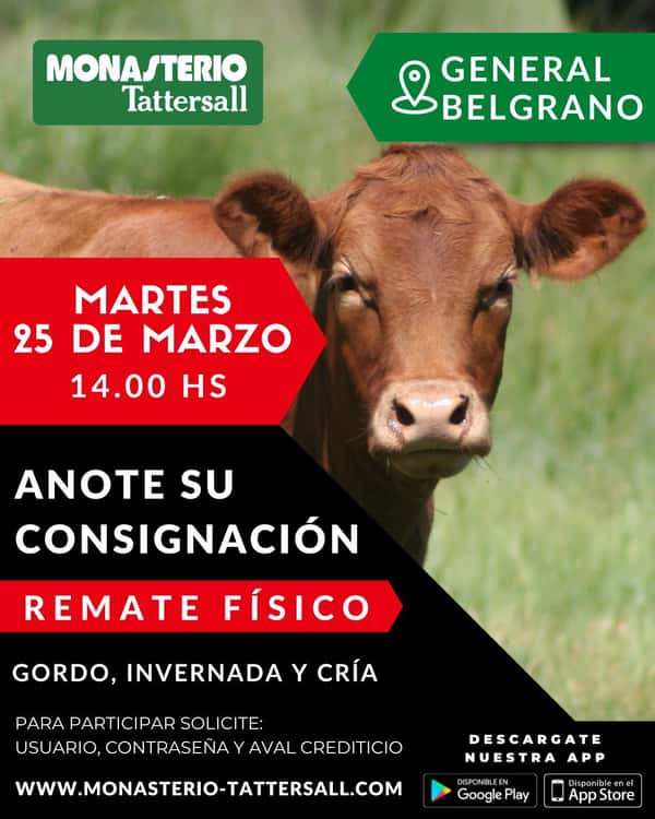  Remate Físico General Belgrano
