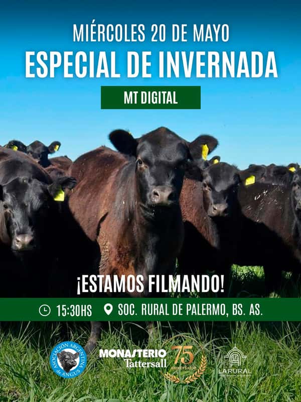 MT digital en Expo Angus