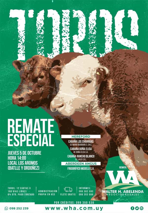 Remate Especial Toros