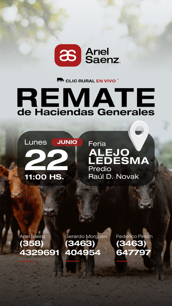  Remate