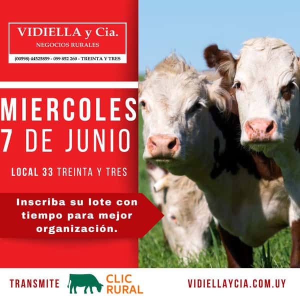 Feria 7 de Junio