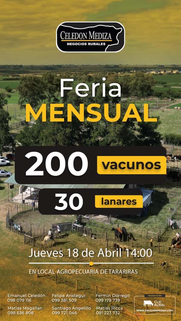 Feria Mensual - Celedon Mediza