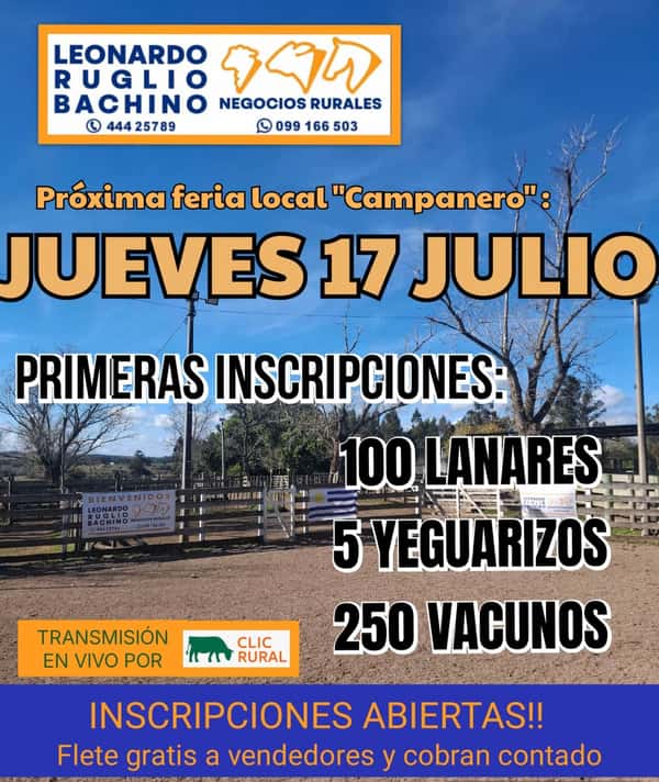 Feria Mensual - Leonardo Ruglio Bachino