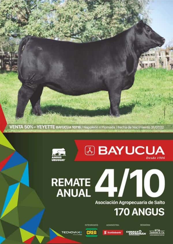 Remate Anual Bayucuá 