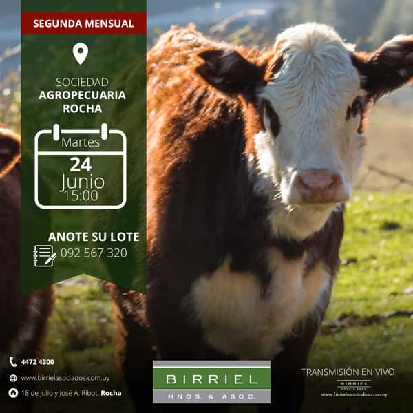  Feria Birriel 24 de Junio