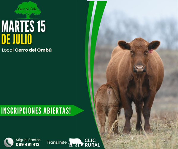  Feria mensual - Cerro del Ombu