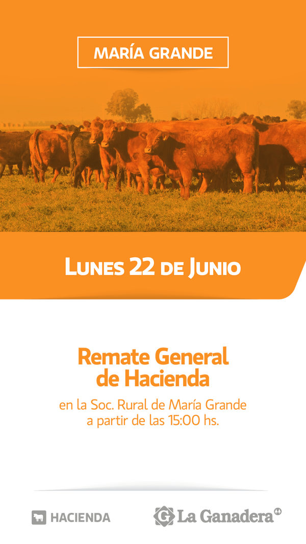  REMATE FERIA EN SOCIEDAD RURAL DE MARÍA GRANDE