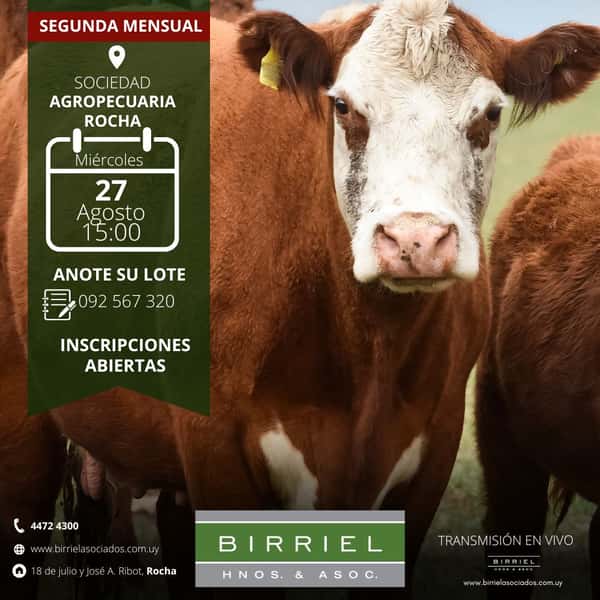 Segunda Feria Mensual - Soc Agrop de Rocha