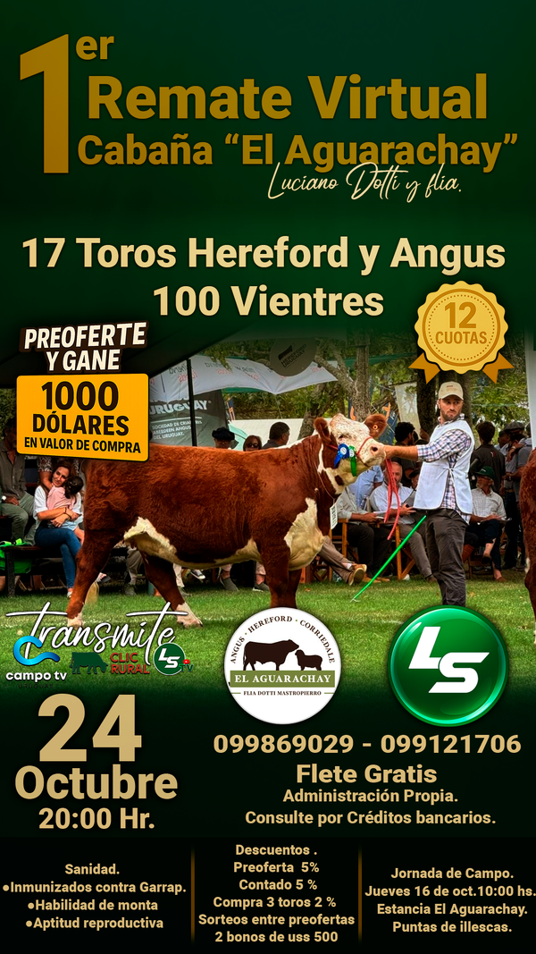 1er Remate virtual Cabaña 