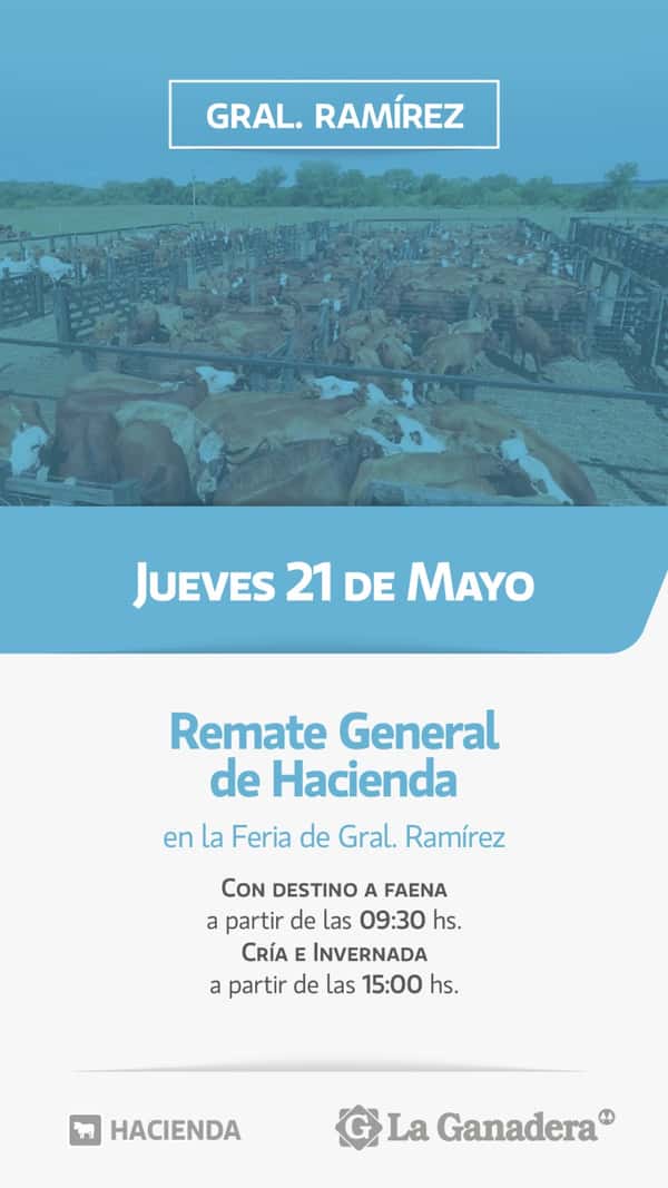  REMATE FERIA EN INSTALACIONES DE GRAL. RAMÍREZ