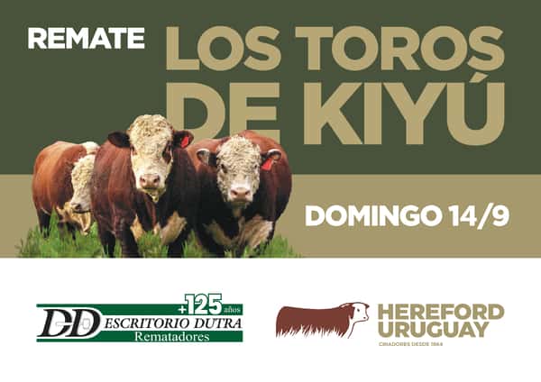  Los Toros de Kiyú