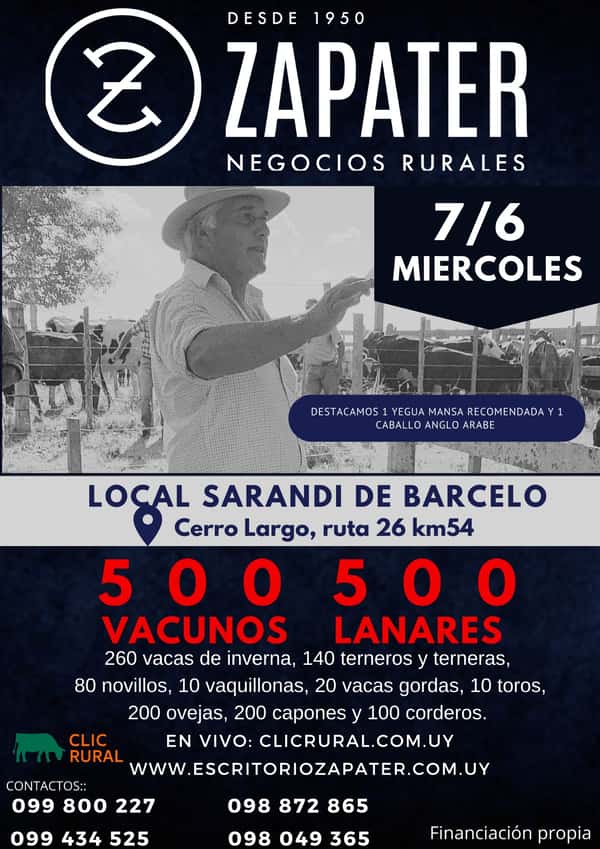 Remate Miércoles 7 de Junio